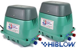 Hiblow Dual Port